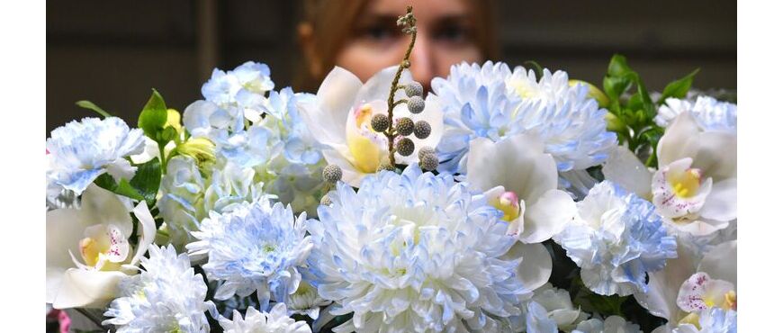 17727755853094696661964956952285